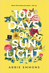 Image of 100 days of sunlight