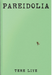 Image of Pareidolia