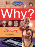 Why? Anatomy (Anatomi)
