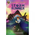 Storm runner