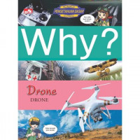 Image of Why? Drone