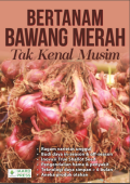 Bertanam bawang merah tak kenal musim