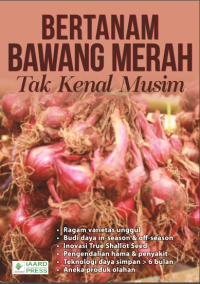 Image of Bertanam bawang merah tak kenal musim
