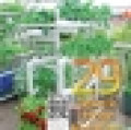 29 teknik urban farming